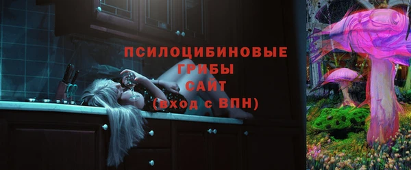 мдпв Кодинск