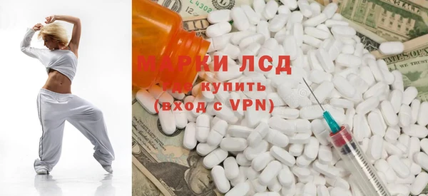 индика Киреевск
