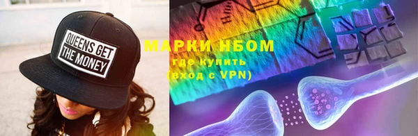 индика Киреевск