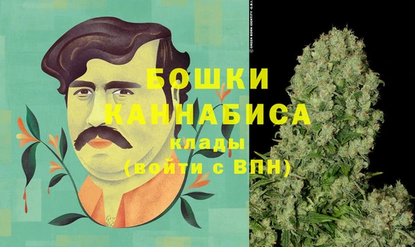 индика Киреевск