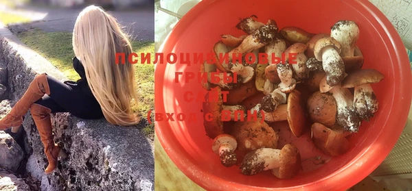 индика Киреевск