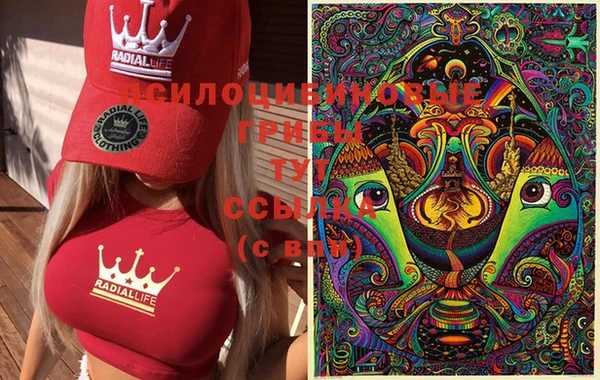 индика Киреевск
