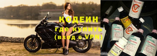 индика Киреевск